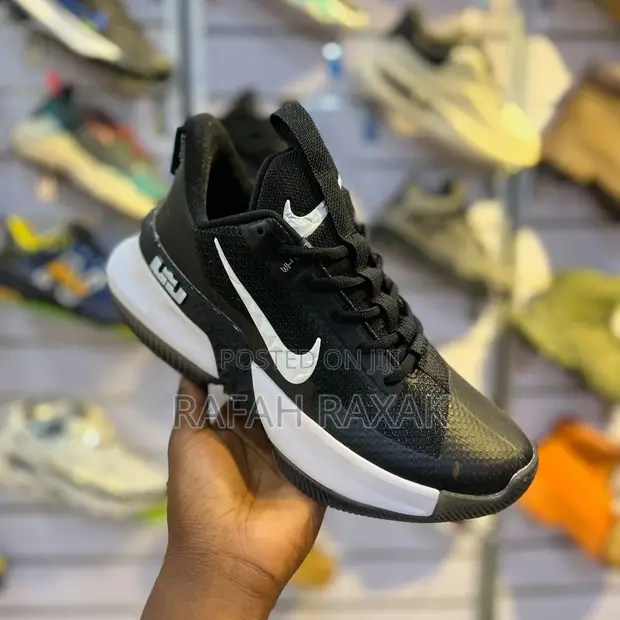 Basketball Lebron 13 Ambassador Shop Nike Lebron 13 For Sale On