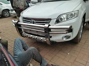 Car Guards And Shields