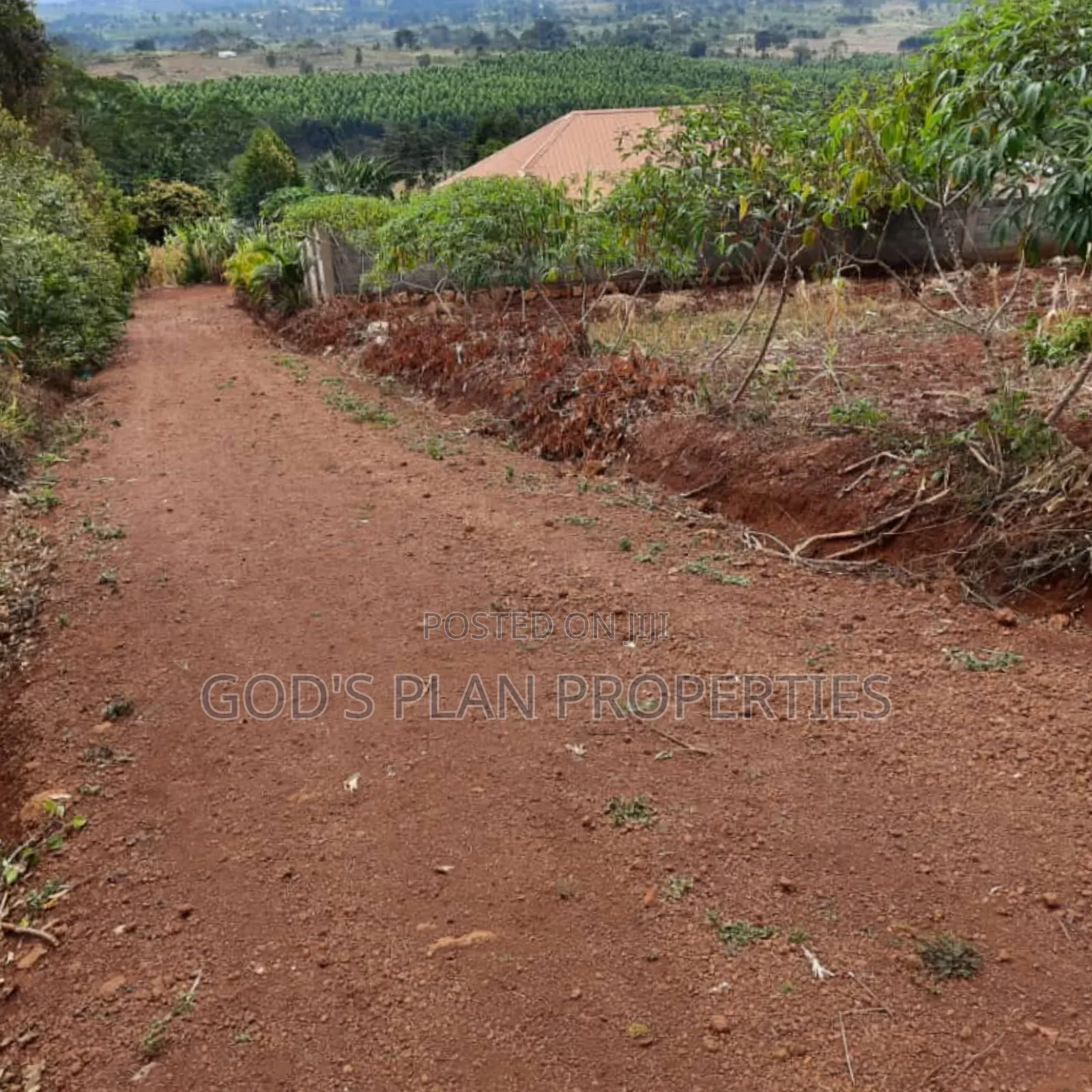 Three Sem Detached Plots Forcedsale in Mpigi Town With Title in Central