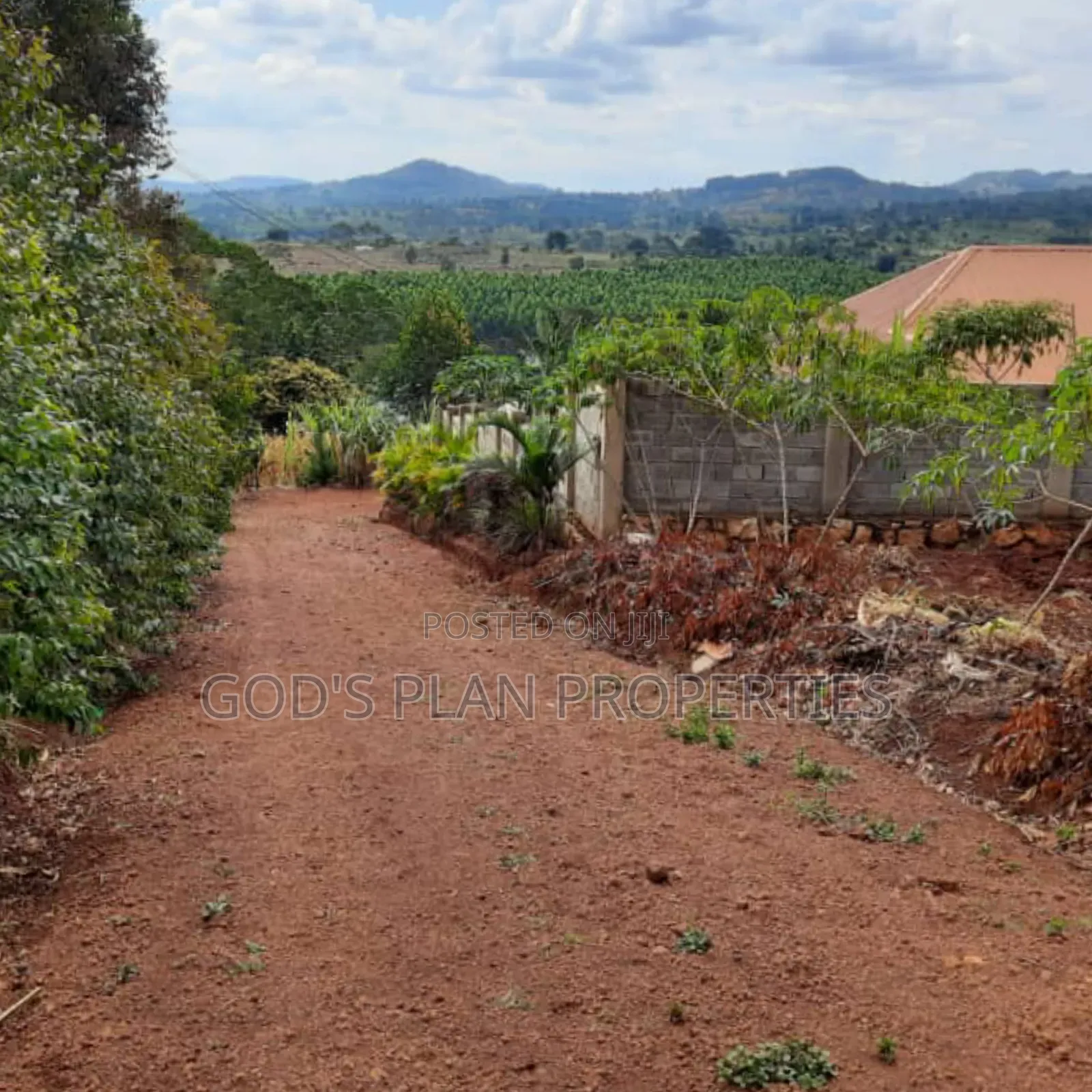 Three Sem Detached Plots Forcedsale in Mpigi Town With Title in Central