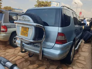Mercedes-Benz M Class 2002 Blue