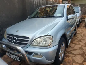 Mercedes-Benz M Class 2002 Blue