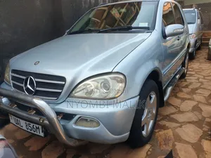 Mercedes-Benz M Class 2002 Blue