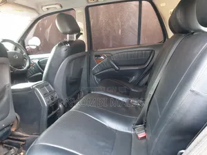 Mercedes-Benz M Class 2002 Blue