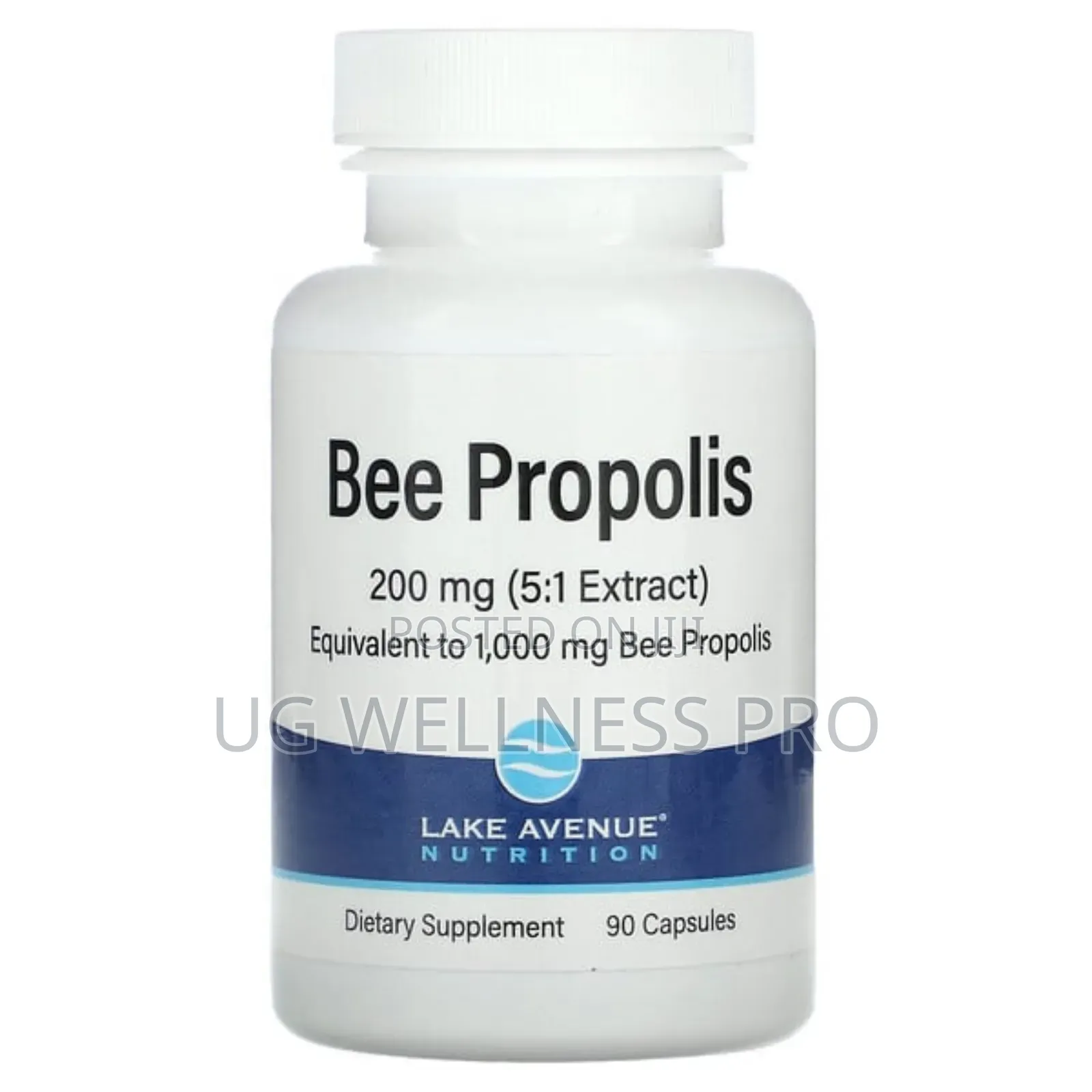Lake Avenue Nutrition, Bee Propolis, 1,000 Mg, 90 Capsules