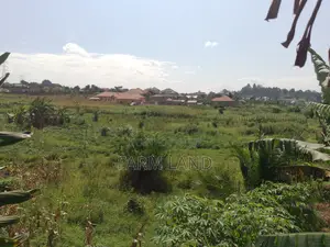 Photo - 12 Decimals Plot on Sale in Namugongo