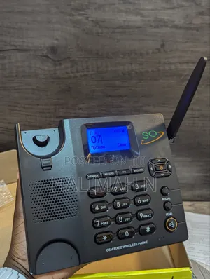Landline Phone LS960