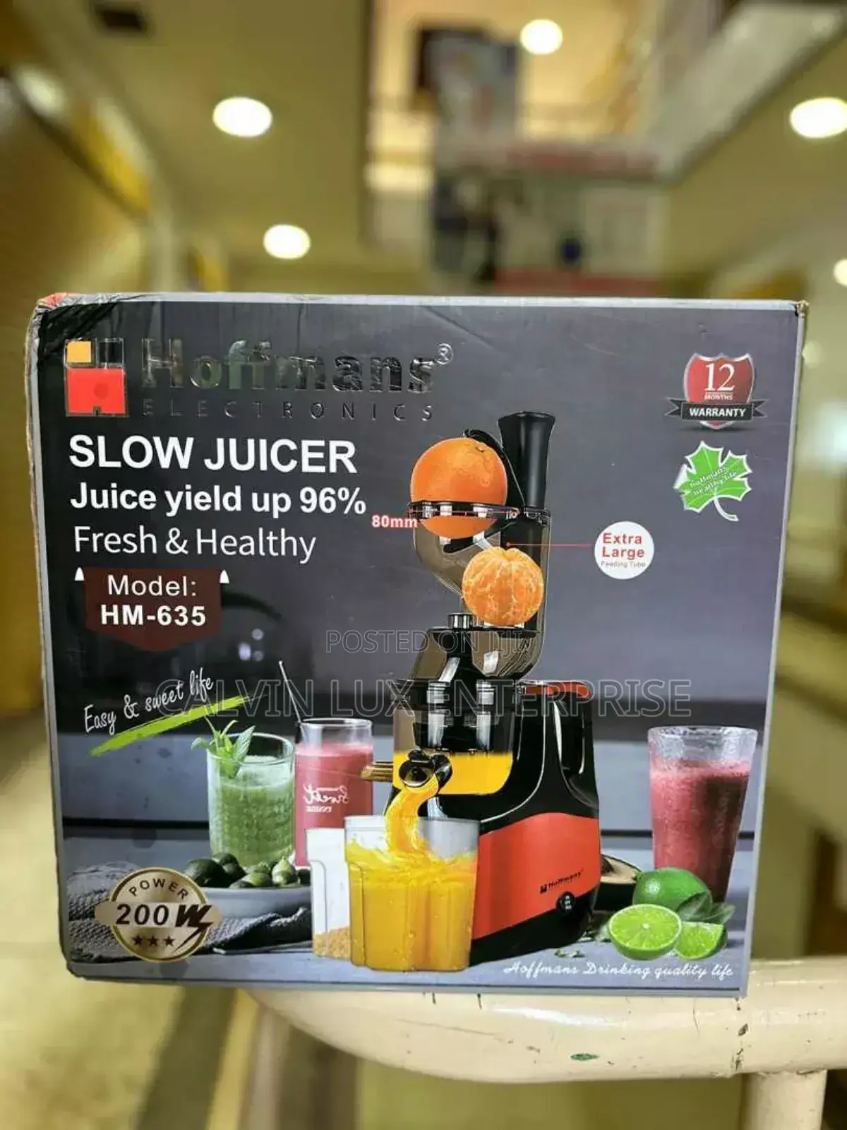 Slow Juicer Electric