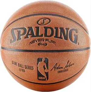 NBA Professional Spalding Game Ball