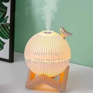 330ml USB Mini Humidifier for Home