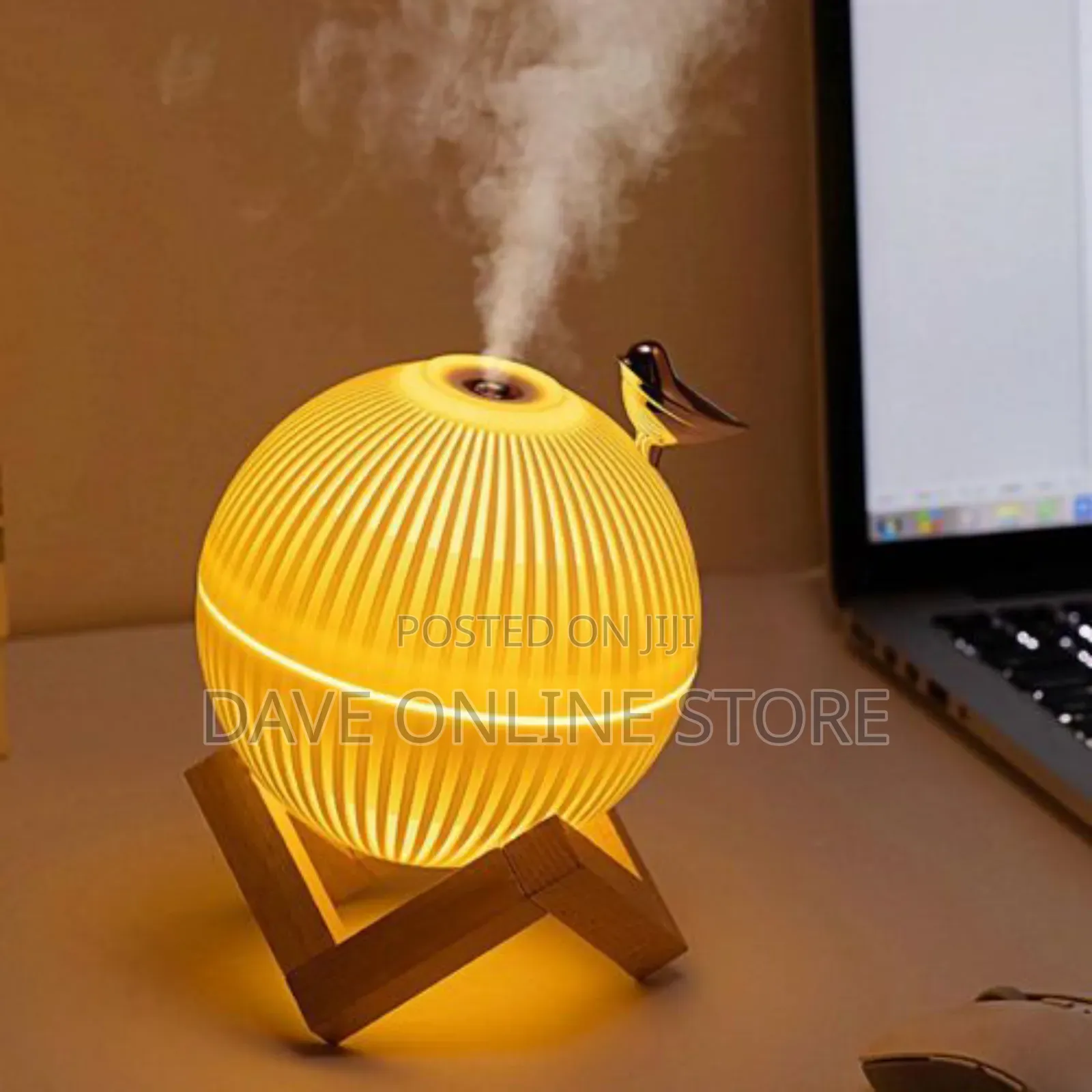 330ml USB Mini Humidifier for Home