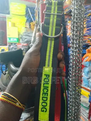Dog Collars and Leashes