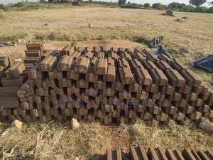 Photo - Interlocking Soil Block Laying ( Issb )