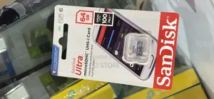 64GB San Disk Micro Card