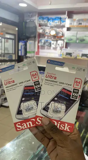 64GB San Disk Micro Card