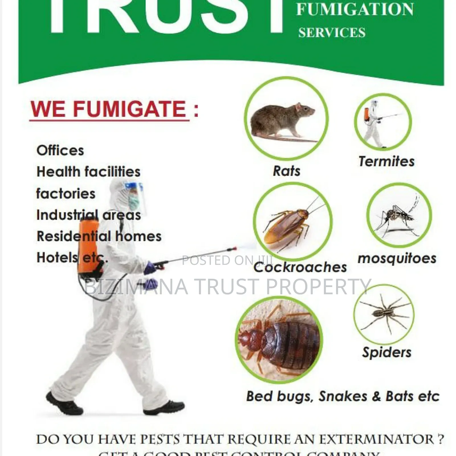 Trust Fumigation Services (For Cockroaches, Bedbugs, Ants)