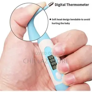 Electronic Digital Thermometer