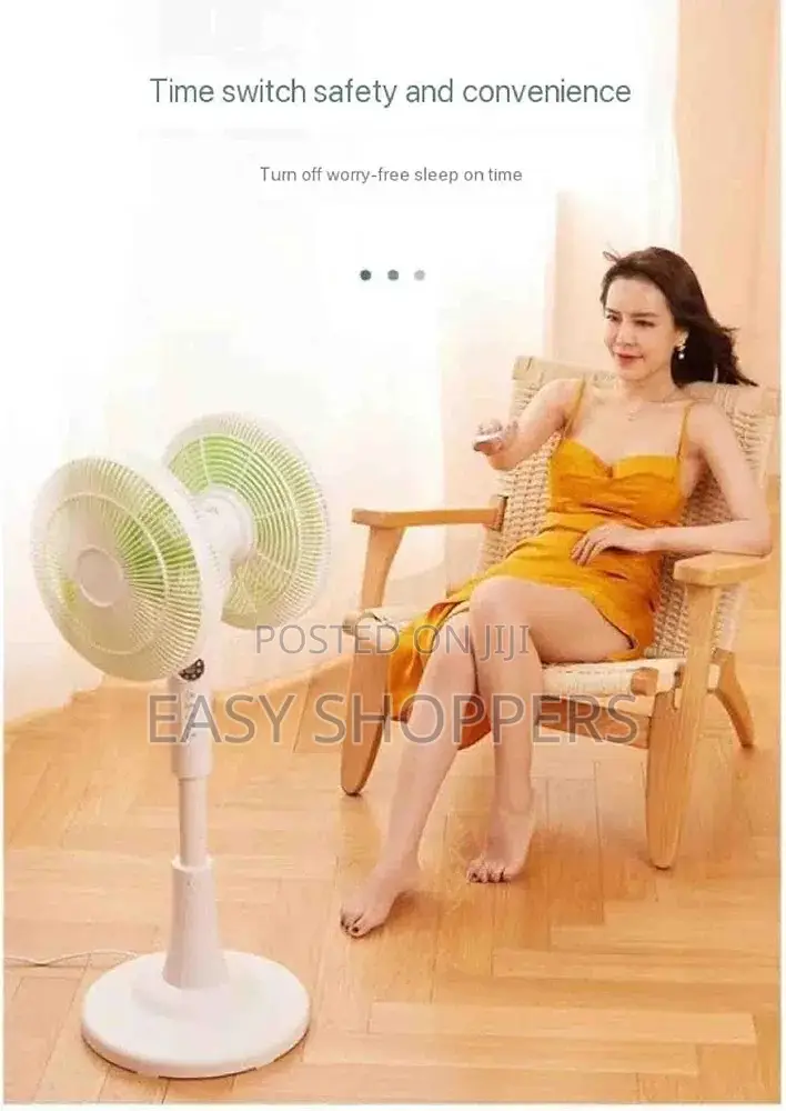 Intelligent Remote Control, Double-Sided Electric Fan