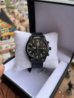 Genuine Biden Water Proof Watch