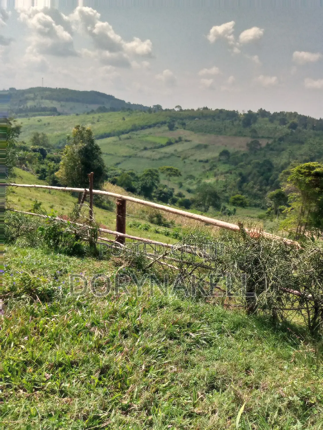60 Acres in Lugazi District at 25m Each