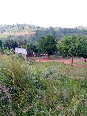 60 Acres in Lugazi District at 25m Each