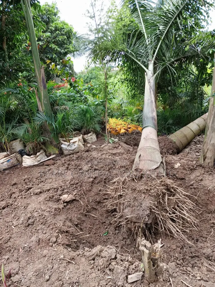 Landscaping and Gardening Works