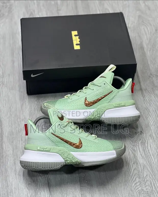 Men's Nike Lebron Ambassador 13 Nike Basketball Shoes in Central