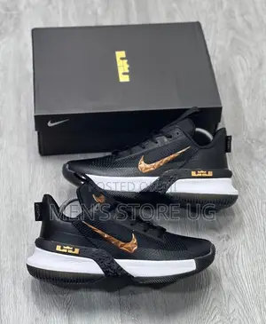 Men's Nike Lebron Ambassador 13 Nike Basketball Shoes