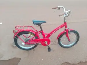 Scalare Style Bike