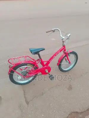 Scalare Style Bike