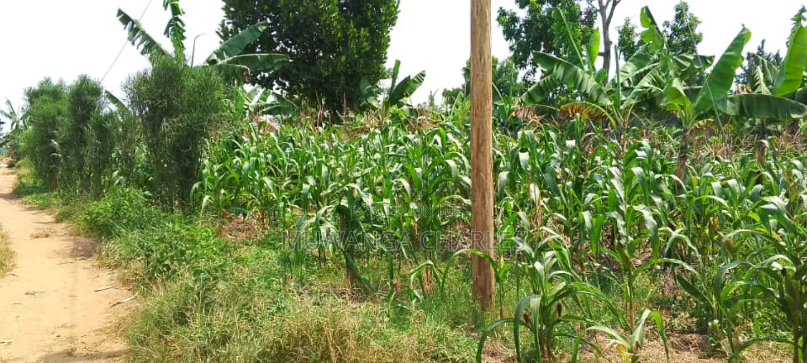 Plot's for Sale in Kira