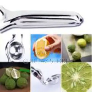 Stainless Lemon Press