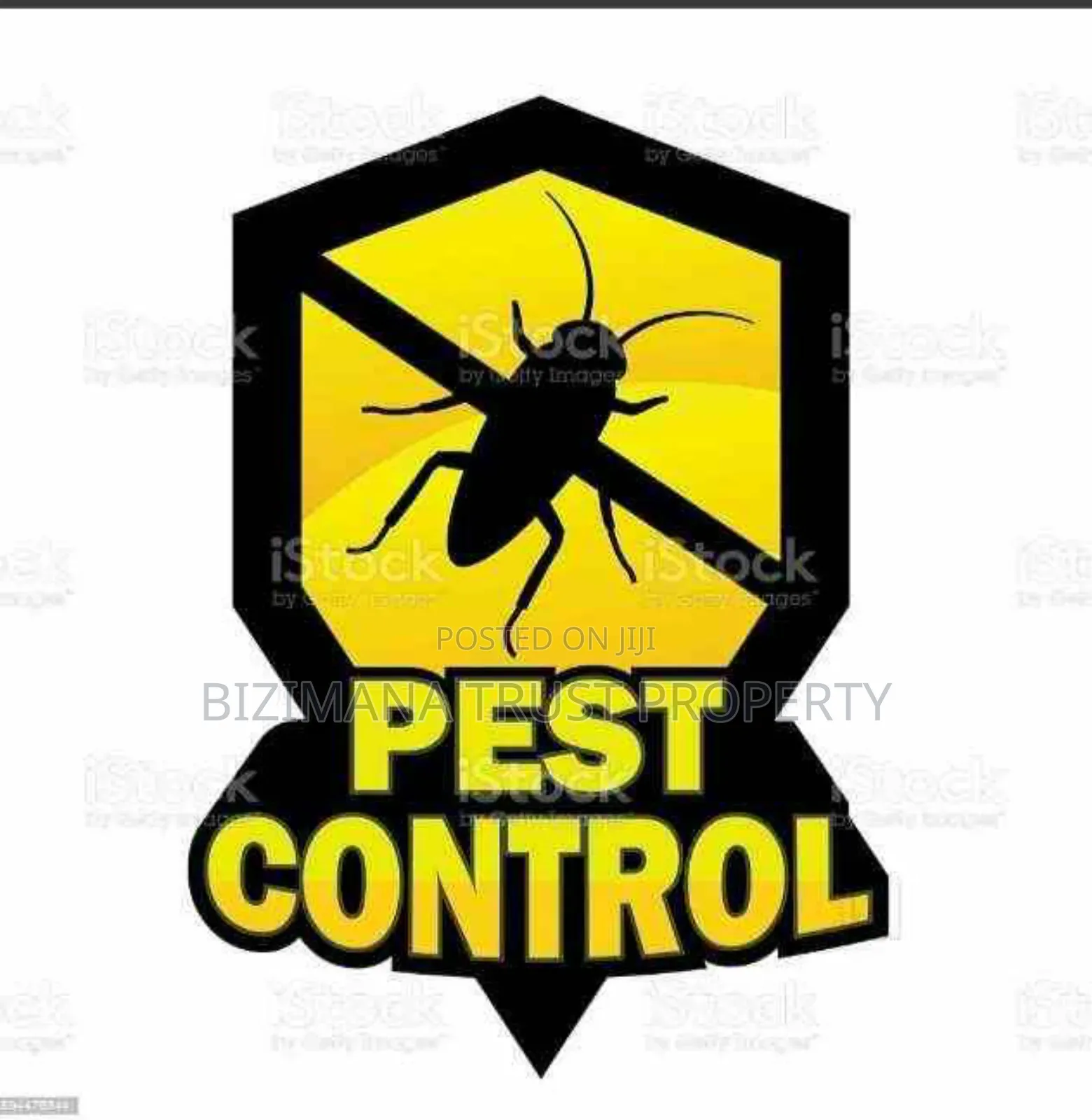 Cockroaches, Ants, Termites, Fleas, Bedbugs, Bats Fumigation