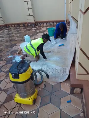 Carpet Cleaning Services