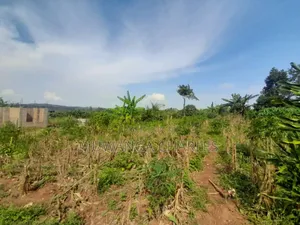 Land for Sale at Naguru