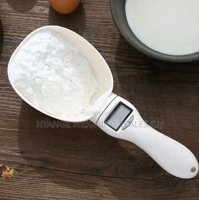 Accurate Portable 200g Mini Spoon Scales [3]