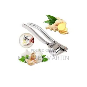 Stainless Steel Garlic Press.