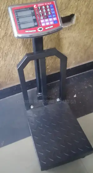 Heavy Duty Weighing Scales in Uganda [14]