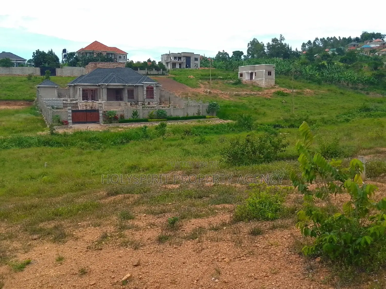 Titled Residential Land in Wakiso at a Discount