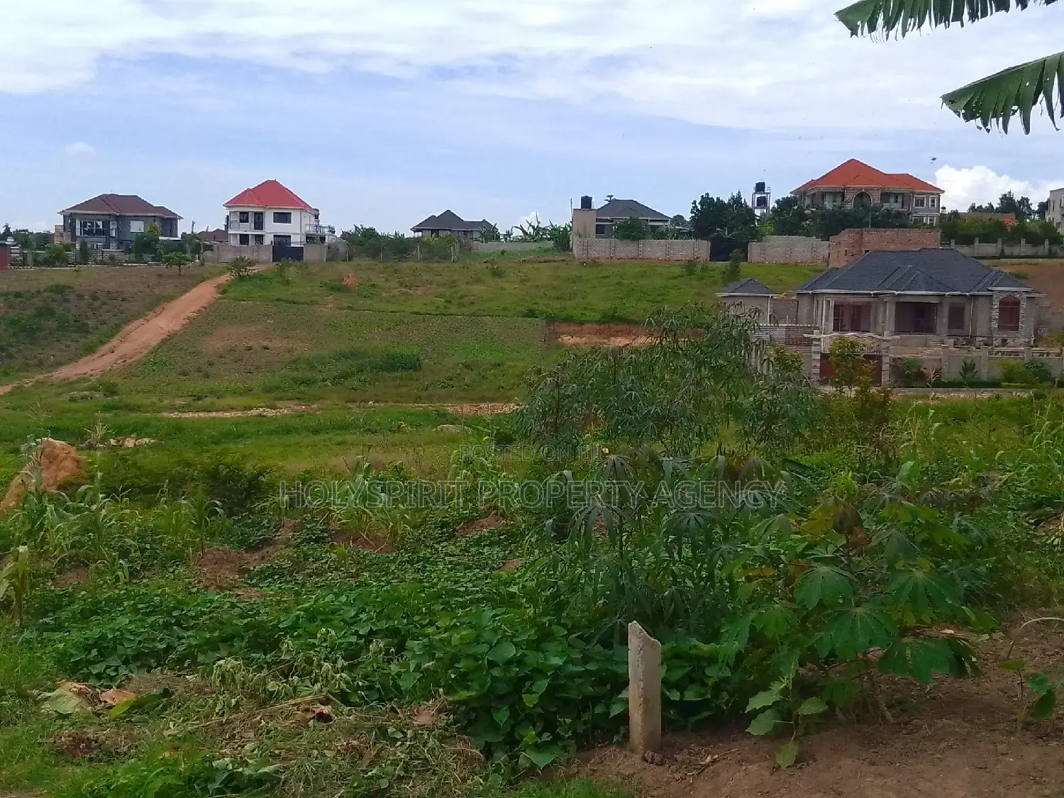 Titled Residential Land in Wakiso at a Discount