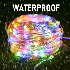5m 10m 20m Smart LED String Lights Fairy Light