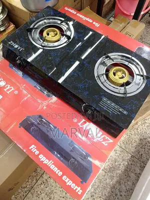 Zhoyi Double Gas Cooker