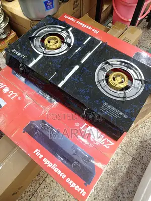 Zhoyi Double Gas Cooker