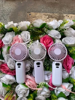 Rechargeable Portable Fan