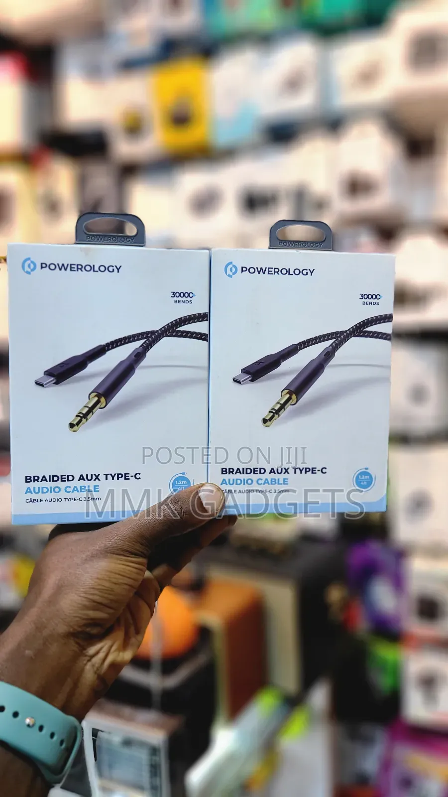 Powerology Audio Cable