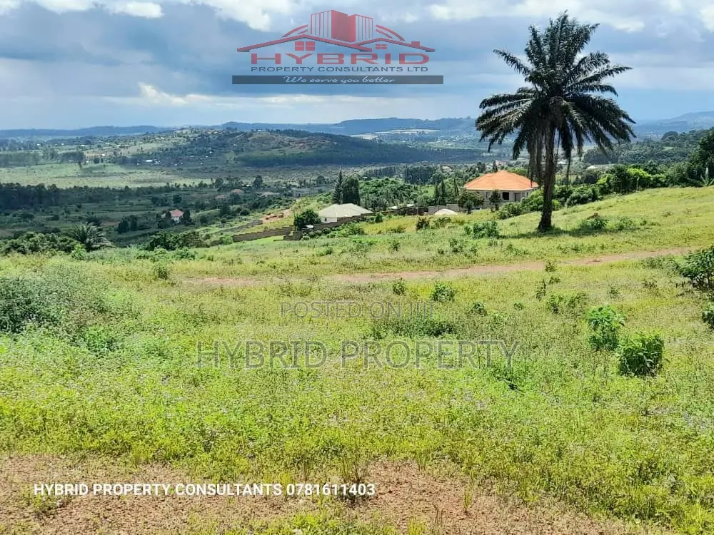 Prime Plots for Sale at Ssisa~Entebbe Express Highway Estate