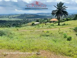 Prime Plots for Sale at Ssisa~Entebbe Express Highway Estate