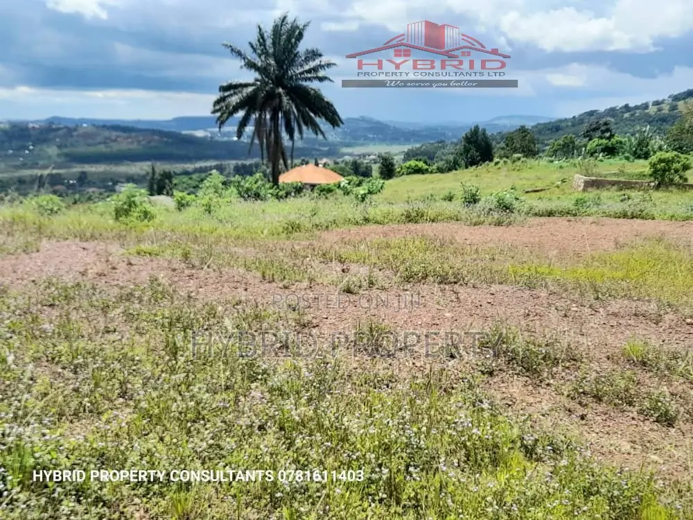 Prime Plots for Sale at Ssisa~Entebbe Express Highway Estate