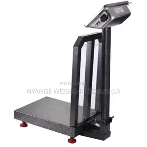 Platform Floor Weighing Scales in Kampala Uganda [401]