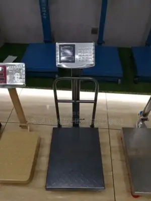 High Accuracy Platform Weighing Scales in Kampala [401]